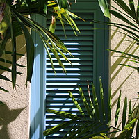 Buy canvas prints of Shutters by Jane Emery