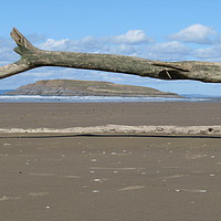 Buy canvas prints of Driftwood with a View by Jane Emery