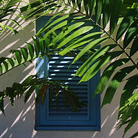 Buy canvas prints of Blue Shutters in the Sun by Jane Emery