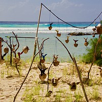 Buy canvas prints of Beach Art with Coconut Shells - Barbados by Jane Emery