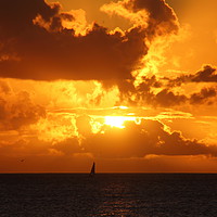 Buy canvas prints of Sailing Home at Sunset - Barbados by Jane Emery