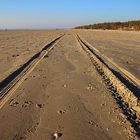 Buy canvas prints of Tracks in the sand at Cefn Sidan, Pembrey, Carmart by Jane Emery