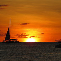 Buy canvas prints of Sailing away in the Sunset, Holetown, Barbados by Jane Emery