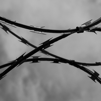 Buy canvas prints of Barbed Wire by Jeremy Moseley