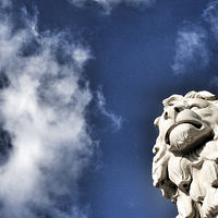 Buy canvas prints of Lion Statue, London.  by Jeremy Moseley