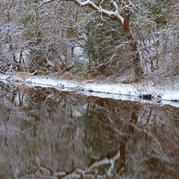 Buy canvas prints of  Reflections of Winter by Carolyn Farthing-Dunn