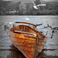 Buy canvas prints of  Keswick Boat by Carolyn Farthing-Dunn
