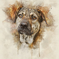 Buy canvas prints of Digi Dog by Ash Harding