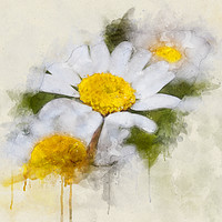 Buy canvas prints of Sunshine by Ash Harding