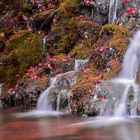 Buy canvas prints of  Autumnal Waterfalls by Emily Murdoch