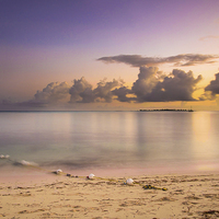 Buy canvas prints of  Caribbean Sunrise by Louise Wilden