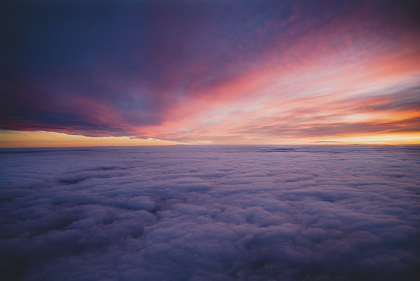 Above the clouds  Picture Board by Louise Wilden