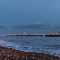 Buy canvas prints of Murmuration over Brighton Pier by Louise Wilden