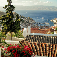 Buy canvas prints of  On top of Hydra by Joseph Pooley