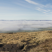 Buy canvas prints of Pendle hill view, with Springer Spaniels by Graham Pickavance