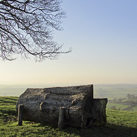 Buy canvas prints of  Bench under tree by alastair morgan