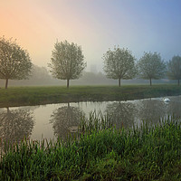 Buy canvas prints of River Stour misty Dawn by Antony Burch