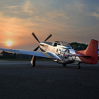 Buy canvas prints of Red Tails Sunset by Antony Burch