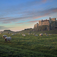 Buy canvas prints of Holy island of Lindisfarne by Antony Burch