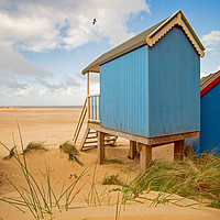 Buy canvas prints of Beach Huts and Birds by Antony Burch