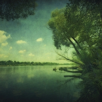 Buy canvas prints of Narew River by Piotr Tyminski