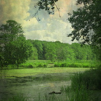 Buy canvas prints of Kwietniowka Lake, Poland by Piotr Tyminski