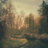 Buy canvas prints of Along the river #6 by Piotr Tyminski