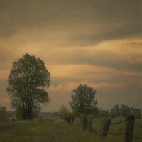 Buy canvas prints of Lost trails #1 by Piotr Tyminski