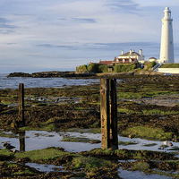 Buy canvas prints of  St Mary's Lighthouse Whitley Bay by Mike Twist