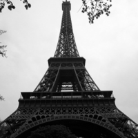 Buy canvas prints of  Eiffel Tower by Rachael Bufton