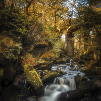 Buy canvas prints of  Fairies Chapel - Healey Dell by - Walker
