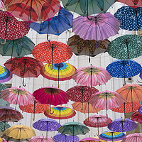 Buy canvas prints of Umbrella Skies by benny hawes