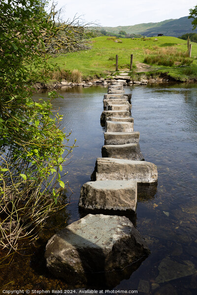 River Rothay Stepping Stones Picture Board by Stephen Read