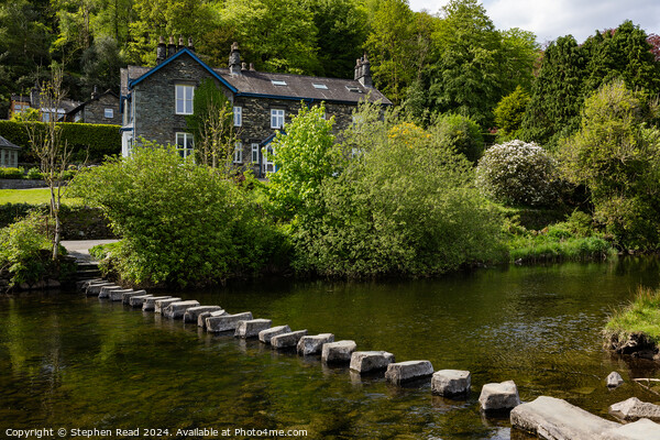 Stepping Stones across the River Rothay Picture Board by Stephen Read