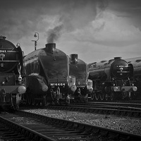 Buy canvas prints of  Icons of Steam Line Up by Jason Kerner