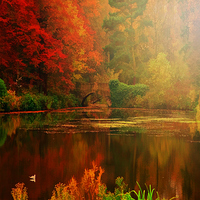 Buy canvas prints of  Autumn Reflected by Heaven's Gift xxx68