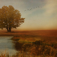 Buy canvas prints of  Peaceful Autumn  by Heaven's Gift xxx68