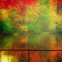 Buy canvas prints of  Autumn Beauty    pond In Hampstead-heath london u by Heaven's Gift xxx68