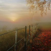 Buy canvas prints of  Autumn sunrise Hampstead-heath by Heaven's Gift xxx68