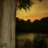 Buy canvas prints of  Autumn  sunset  Hampstead heath  by Heaven's Gift xxx68