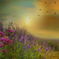 Buy canvas prints of  Heaven's Garden  by Heaven's Gift xxx68