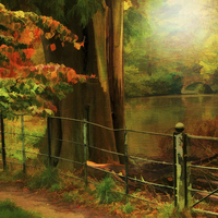 Buy canvas prints of  Autumn pond  by Heaven's Gift xxx68