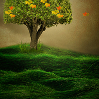 Buy canvas prints of The Tree  by Heaven's Gift xxx68