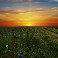 Buy canvas prints of  Sunrise over  the meadow  by Heaven's Gift xxx68