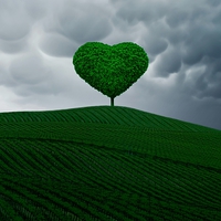 Buy canvas prints of  the little green heart tree  by Heaven's Gift xxx68
