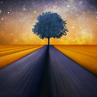 Buy canvas prints of The little blue Tree  by Heaven's Gift xxx68
