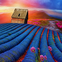 Buy canvas prints of lavender-field Beauty  by Heaven's Gift xxx68