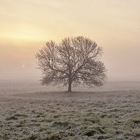 Buy canvas prints of  Frosty Sunrise, York. by Mat Robinson
