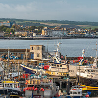 Buy canvas prints of Back home - Newlyn Harbour by Jonathon barnett
