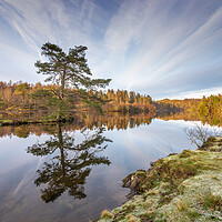 Buy canvas prints of Frost and reflections at Tarn Hows by Jonathon barnett